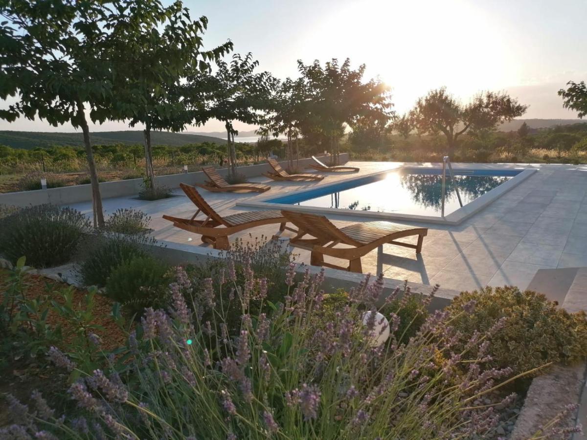 זאדאר Villa Jelena מראה חיצוני תמונה